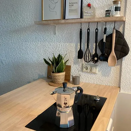 Glueckauf By Schwarzwaldquartier Sauna Im Haus Skilift Und Loipe In Direkter Naehe Traumblick Tiefgarage E-ladestation Apartment *