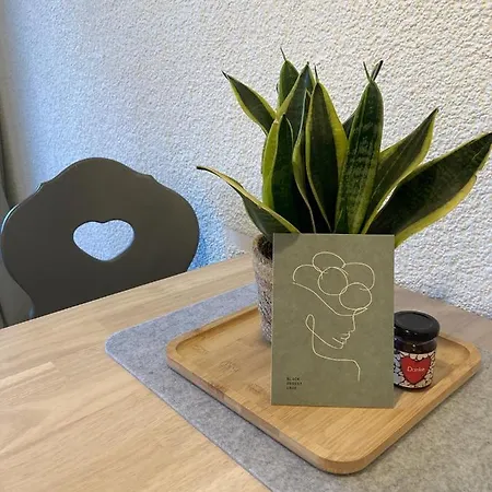 Glueckauf By Schwarzwaldquartier Sauna Im Haus Skilift Und Loipe In Direkter Naehe Traumblick Tiefgarage E-ladestation Appartement