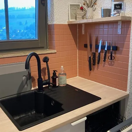 Glueckauf By Schwarzwaldquartier Sauna Im Haus Skilift Und Loipe In Direkter Naehe Traumblick Tiefgarage E-ladestation * Todtnauberg