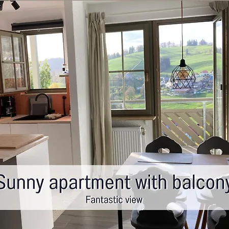 Glueckauf By Schwarzwaldquartier Sauna Im Haus Skilift Und Loipe In Direkter Naehe Traumblick Tiefgarage E-ladestation Apartment