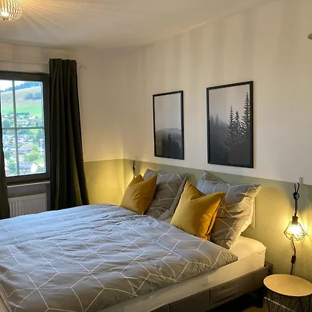Glueckauf By Schwarzwaldquartier Sauna Im Haus Skilift Und Loipe In Direkter Naehe Traumblick Tiefgarage E-ladestation Apartment