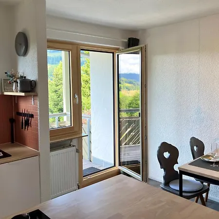 Glueckauf By Schwarzwaldquartier Sauna Im Haus Skilift Und Loipe In Direkter Naehe Traumblick Tiefgarage E-ladestation