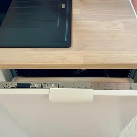 Appartement Glueckauf By Schwarzwaldquartier Sauna Im Haus Skilift Und Loipe In Direkter Naehe Traumblick Tiefgarage E-ladestation