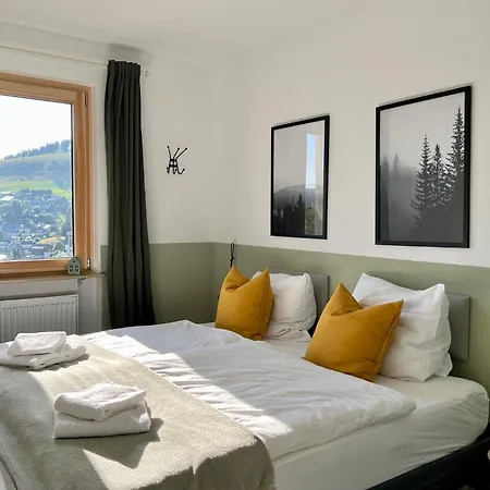 Glueckauf By Schwarzwaldquartier Sauna Im Haus Skilift Und Loipe In Direkter Naehe Traumblick Tiefgarage E-ladestation Appartement Todtnauberg